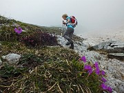 36 Neve nei canali, fiori nei pratoni